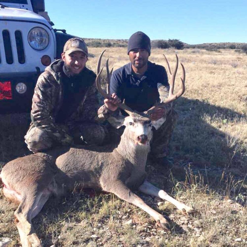 Meet your Posher, Boni aron